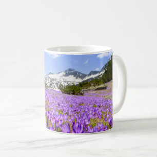 Flowers Crocus Pirin Mountain Park Bulgaria Coffee Mug