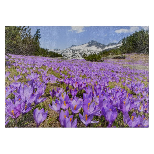 Flowers | Crocus Pirin Mountain Park Bulgaria Cutting Board (Front)