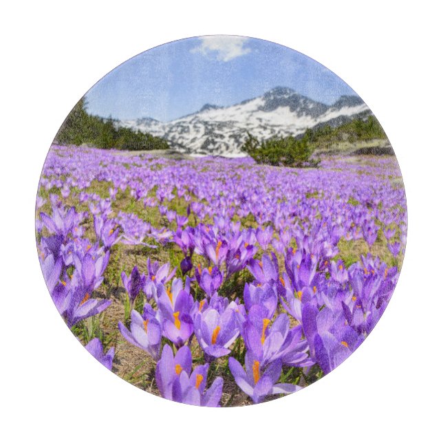 Flowers | Crocus Pirin Mountain Park Bulgaria Cutting Board (Front)