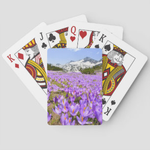 Flowers Crocus Pirin Mountain Park Bulgaria Playing Cards