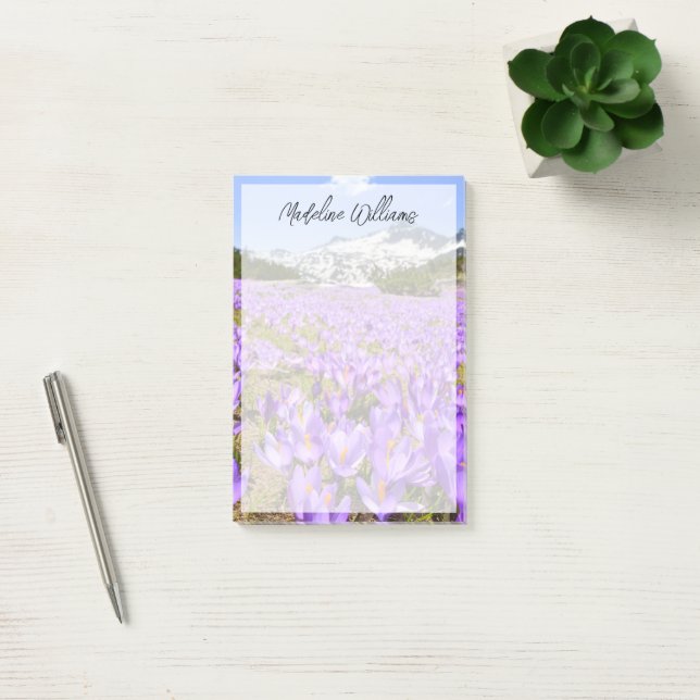 Flowers | Crocus Pirin Mountain Park Bulgaria Post-it Notes (Office)