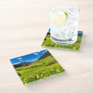 Flowers Dandelion Canton of Grisons, Switzerland Glass Coaster