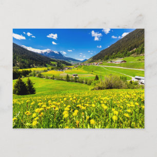Flowers   Dandelion Canton of Grisons, Switzerland Postcard