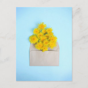 Flowers Dandelions in Envelope Postcard