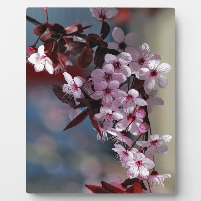 Flowers decorative cherry tree plaque (Front)
