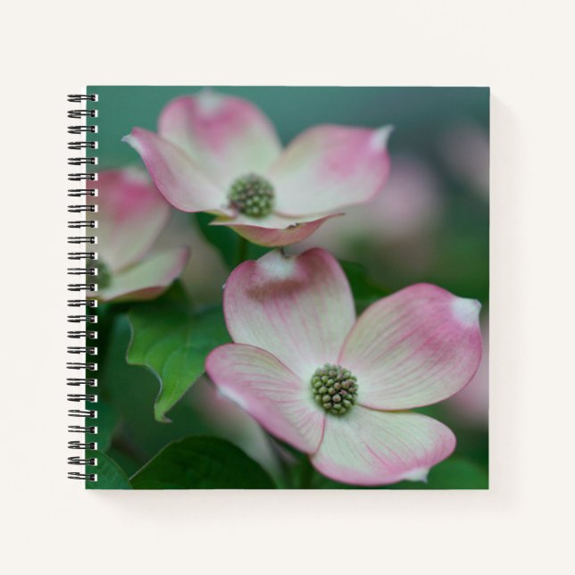 Flowers | Dogwood Blossoms Notebook (Front)