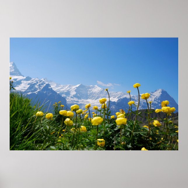 Flowers | Eiger Monch Swiss Alps Poster (Front)