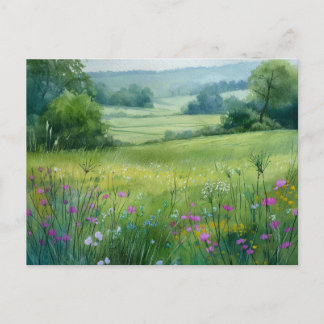 Flowers Field Nature Scene  Postcard