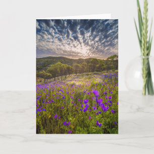 Flowers Flinders Ranges Australia Card