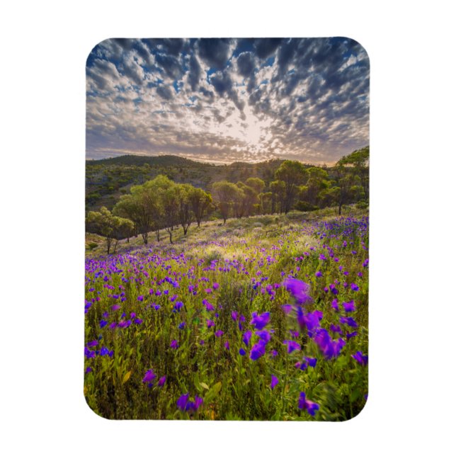Flowers | Flinders Ranges Australia Magnet (Vertical)