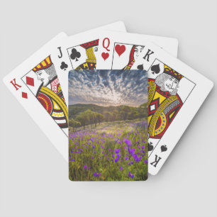 Flowers Flinders Ranges Australia Playing Cards