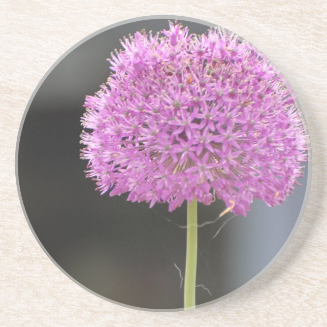 Flowers for All Coaster (Front)