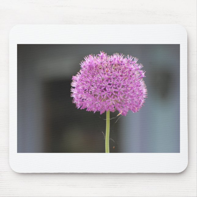 Flowers for All Mouse Pad (Front)