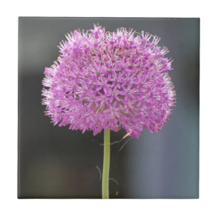 Flowers for All Tile