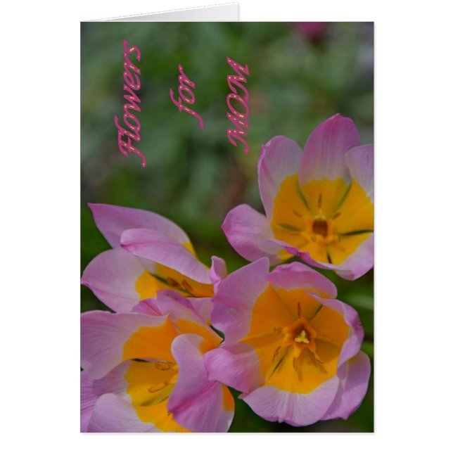 Flowers for Mum (Front)