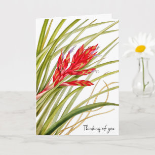 FLOWERS FROM NATURE CARD