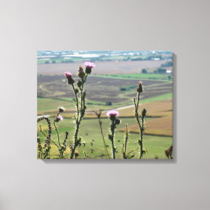 Flowers from on top of "The Mound" Platteville Wi Canvas Print
