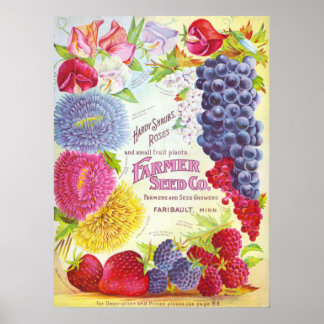 Flowers & Fruit Vintage Catalogue Cover Print
