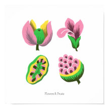 Flowers & Fruits