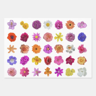 FLOWERS GALORE!  Wrapping Paper