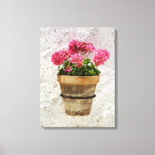 Flowers Geranium In Flower in Pot Canvas Print