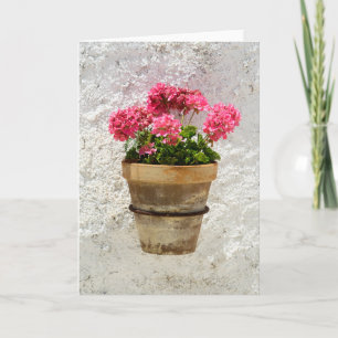 Flowers   Geranium In Flower in Pot Card