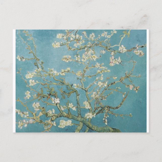 Flowers Gogh Branches Almond Blossoms Nature Postcard (Front)