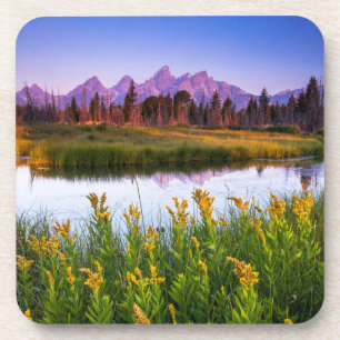 Flowers   Grand Teton National Park, Wyoming Coaster