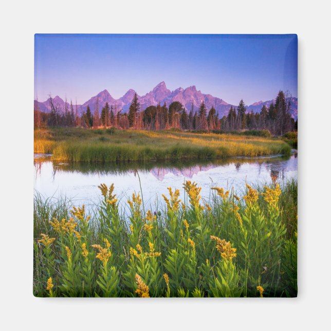 Flowers | Grand Teton National Park, Wyoming Magnet (Front)