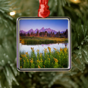 Flowers   Grand Teton National Park, Wyoming Metal Tree Decoration