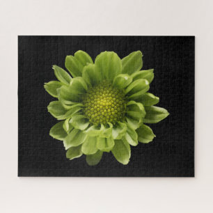 Flowers Green Chrysanthemum Jigsaw Puzzle