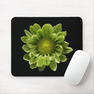 Flowers   Green Chrysanthemum Mouse Pad