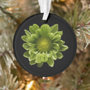 Flowers   Green Chrysanthemum Ornament