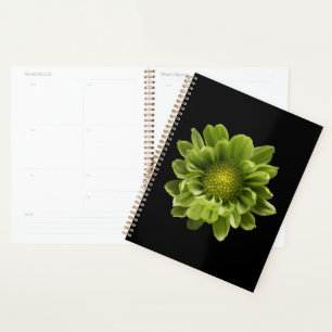 Flowers Green Chrysanthemum Planner