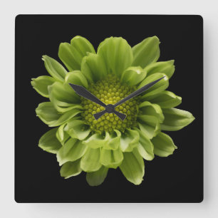 Flowers Green Chrysanthemum Square Wall Clock