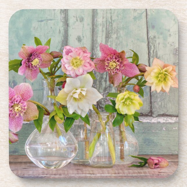 Flowers | Hellebores in Vases Coaster (Front)
