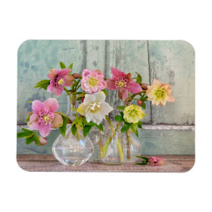 Flowers   Hellebores in Vases Magnet