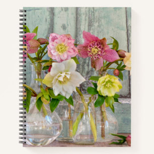 Flowers Hellebores in Vases Notebook