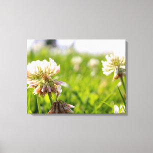 Flowers in a Field Canvas Print