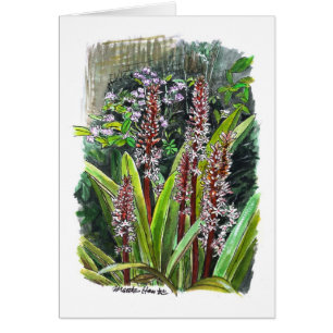 Flowers in a garden