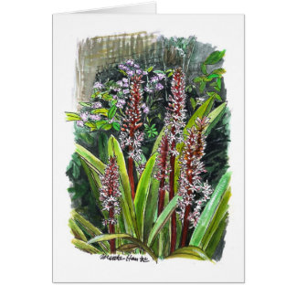 Flowers in a garden