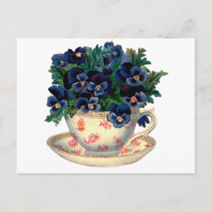 Flowers in a Teacup Vintage Art Postcard