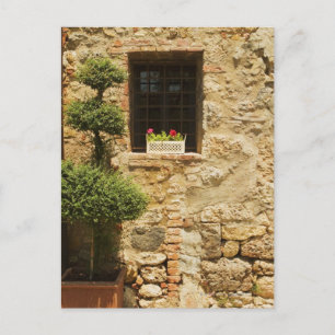 Flowers in a window box on a window sill, postcard