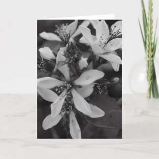 Flowers in Black and White Card