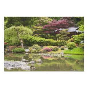 Flowers in bloom at Japanese Garden, Photo Print