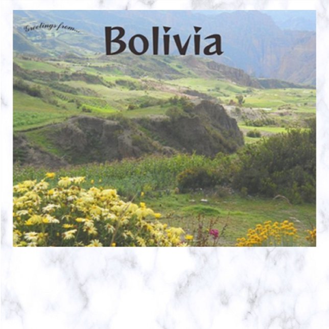 Flowers in Bloom Valley of the Souls Bolivia Postcard (Creator Uploaded)