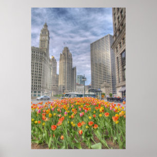 Flowers in Chicago Poster