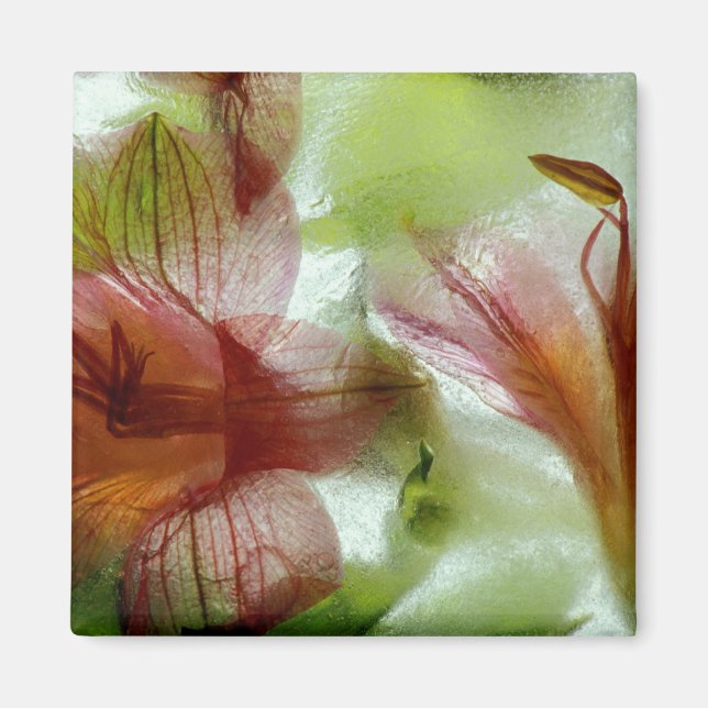Flowers in ice magnet (Front)