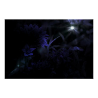Flowers in Moonlight Poster