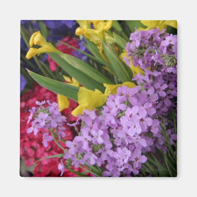 Flowers in Multiple Colours Magnet (Front)